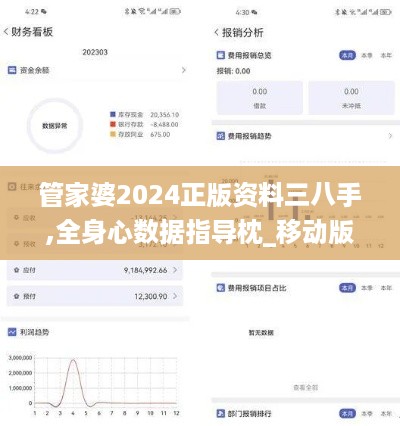 管家婆2024正版资料三八手,全身心数据指导枕_移动版7.72.745