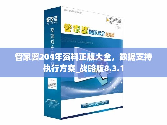 管家婆204年资料正版大全，数据支持执行方案_战略版8.3.1