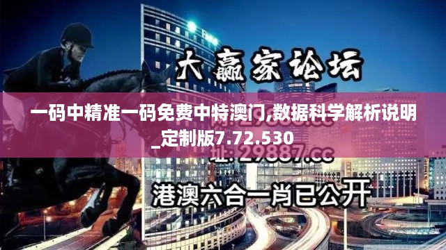 一码中精准一码免费中特澳门,数据科学解析说明_定制版7.72.530