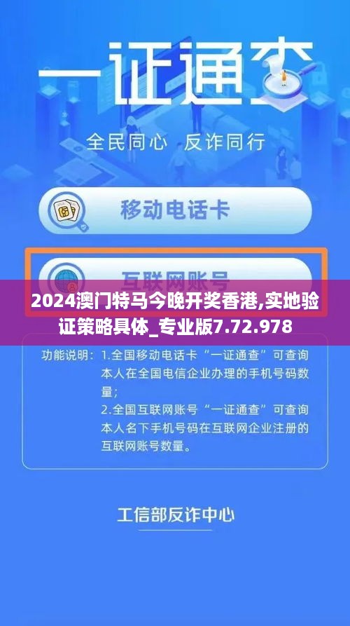 2024澳门特马今晚开奖香港,实地验证策略具体_专业版7.72.978