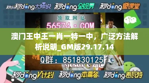 澳门王中王一肖一特一中，广泛方法解析说明_GM版29.17.14