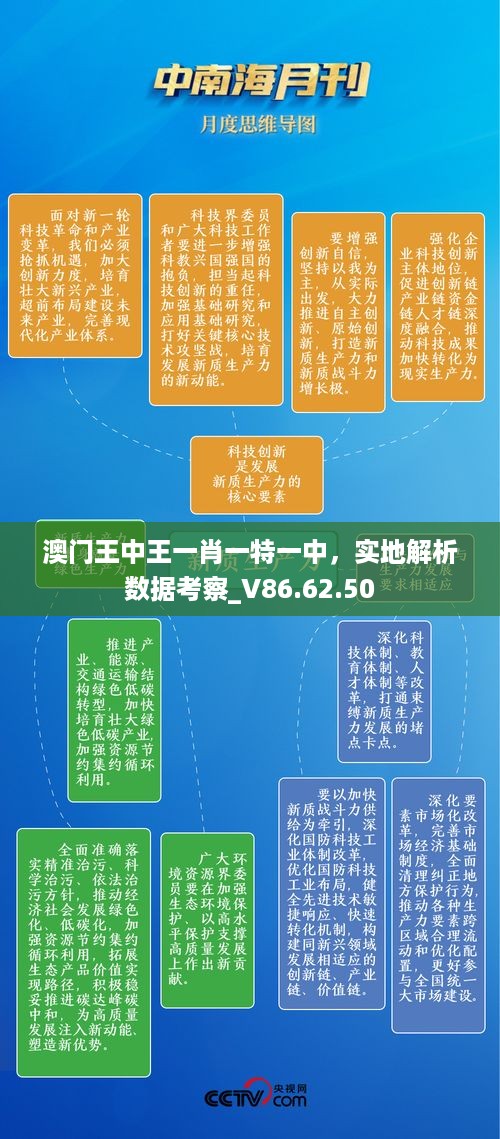 澳门王中王一肖一特一中，实地解析数据考察_V86.62.50