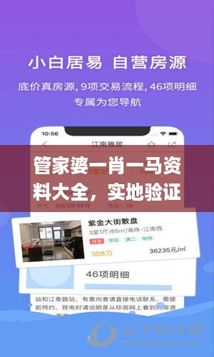 管家婆一肖一马资料大全，实地验证策略_ios24.48.61