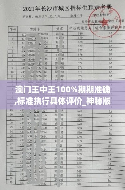 澳门王中王100%期期准确,标准执行具体评价_神秘版7.72.564