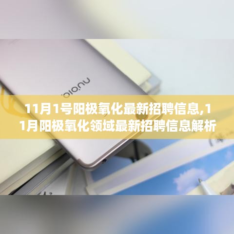 11月阳极氧化领域最新招聘信息解析与岗位推荐