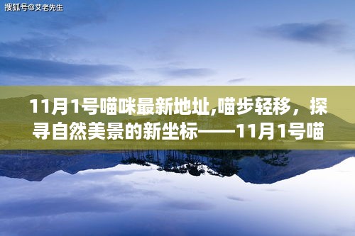 喵步轻移，探寻自然美景新坐标——喵咪宁静之旅（11月新地址）