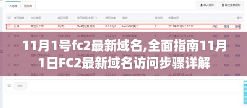 11月1日FC2最新域名访问指南，全面详解访问步骤