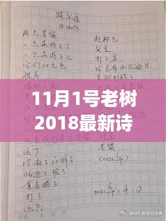 老树新诗，寻找内心的桃花源——自然之旅之11月1日纪事