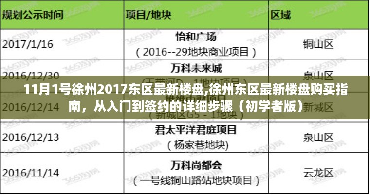 徐州东区最新楼盘购买指南，从入门到签约的详细步骤（初学者版）