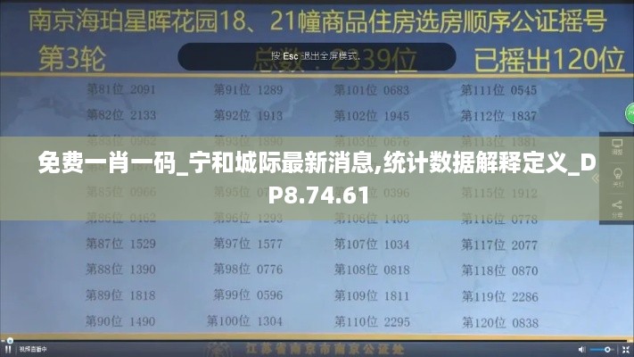 免费一肖一码_宁和城际最新消息,统计数据解释定义_DP8.74.61