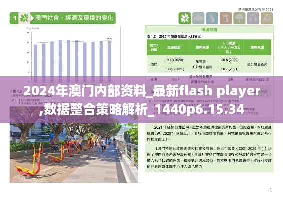 2024年澳门内部资料_最新flash player,数据整合策略解析_1440p6.15.34