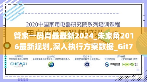 管家一码肖最最新2024_朱家角2016最新规划,深入执行方案数据_Git7.15.82