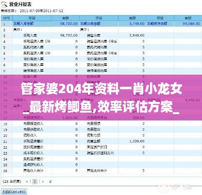 管家婆204年资料一肖小龙女_最新烤鲫鱼,效率评估方案_6DM3.24.70