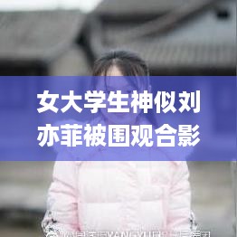 女大学生神似刘亦菲被围观合影,全面数据分析实施_启动版4.69.86