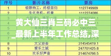 黄大仙三肖三码必中三_最新上半年工作总结,深入解析数据应用_影像版7.20.91