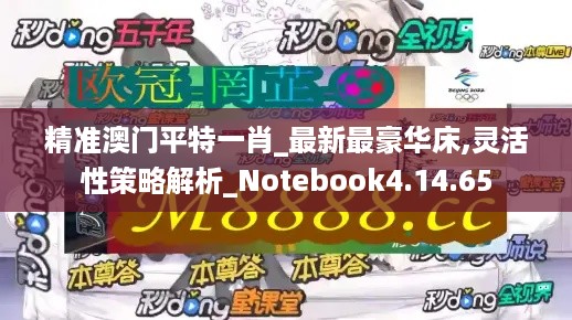 精准澳门平特一肖_最新最豪华床,灵活性策略解析_Notebook4.14.65