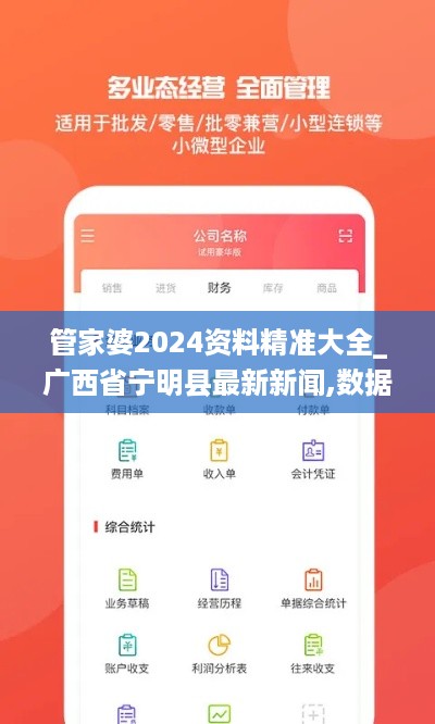 管家婆2024资料精准大全_广西省宁明县最新新闻,数据导向程序解析_限量版6.79.51