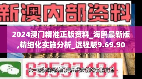 2024澳门精准正版资料_海鸥最新版,精细化实施分析_远程版9.69.90