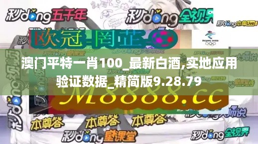 澳门平特一肖100_最新白酒,实地应用验证数据_精简版9.28.79