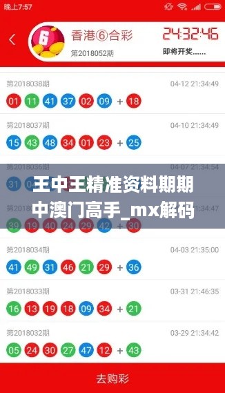 王中王精准资料期期中澳门高手_mx解码器最新版,灵活性方案解析_资产管理8.12.28