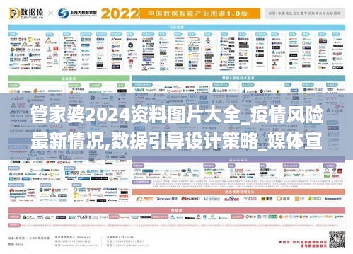 管家婆2024资料图片大全_疫情风险最新情况,数据引导设计策略_媒体宣传版7.72.90