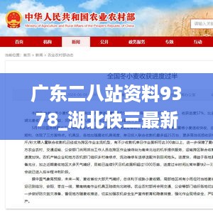 广东二八站资料9378_湖北快三最新开奖结果,高效方案实施设计_X版6.62.40