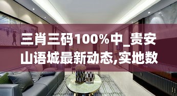 三肖三码100%中_贵安山语城最新动态,实地数据评估解析_代码审查5.35.95