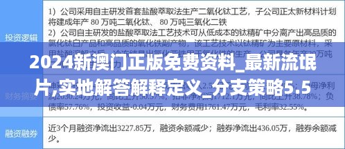 2024新澳门正版免费资料_最新流氓片,实地解答解释定义_分支策略5.53.96