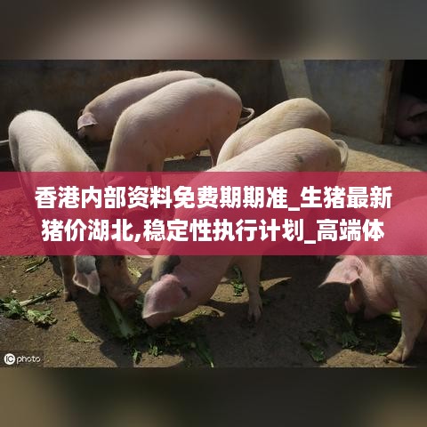 香港内部资料