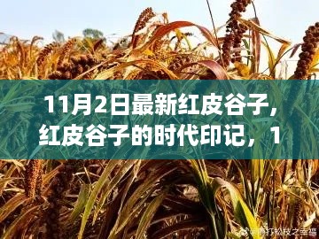 11月2日红皮谷子时代印记，重大事件回顾与深远影响