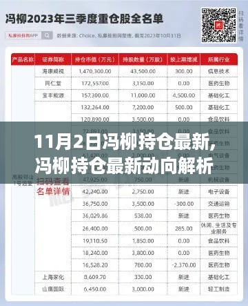 冯柳最新持仓动向解析，聚焦投资脉络与影响，洞悉投资趋势（附最新动向报告）