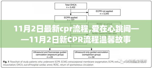 爱在心跳间，11月2日最新CPR流程解读与温馨故事