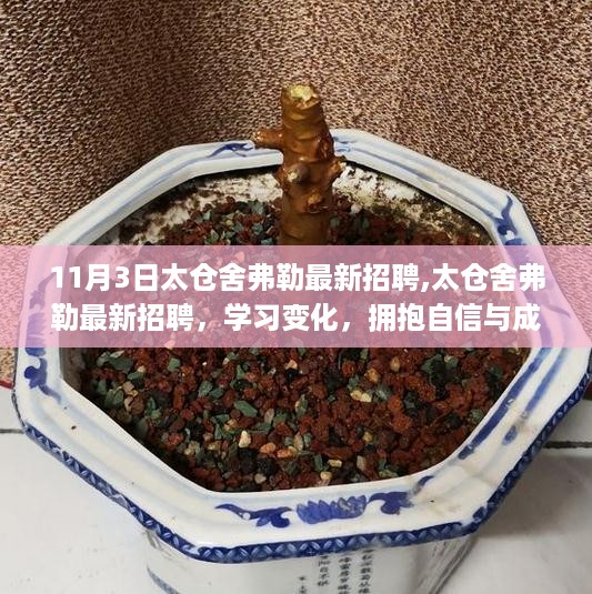 太仓舍弗勒最新招聘启幕，拥抱变化，自信成就未来，开启人生新篇章！