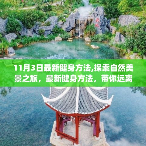 11月3日最新健身方法，自然美景之旅，探寻内心宁静与平和的秘境