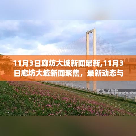 11月3日廊坊大城新闻速递与深度解读