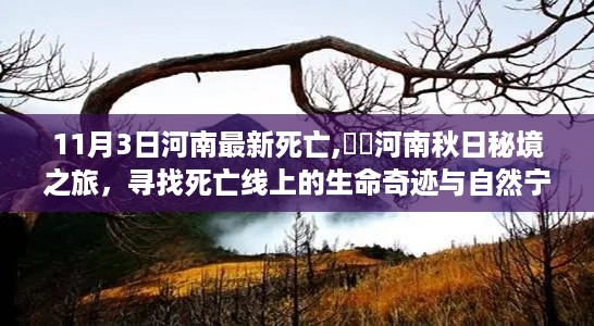 河南秋日秘境生死之旅，探寻生命奇迹与自然宁静的交汇点