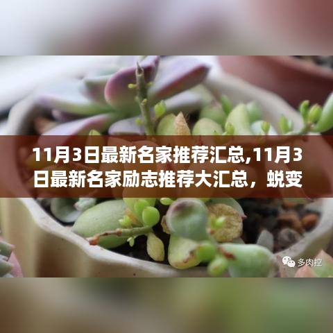 11月3日名家励志推荐大汇总，自信与成就感，点燃正能量！