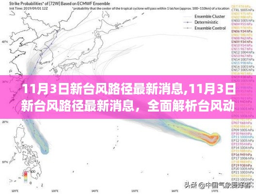 最新台风路径动态解析，台风影响及动态预测