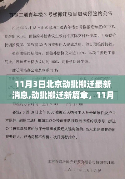 北京动批搬迁最新动态，11月3日启航新篇章，温馨搬家记开启新篇章