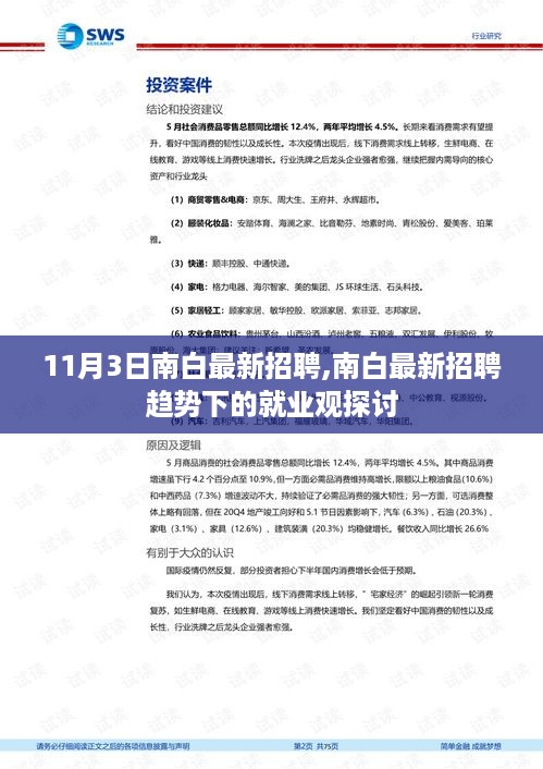 南白最新招聘趋势及就业观探讨，11月3日招聘信息更新