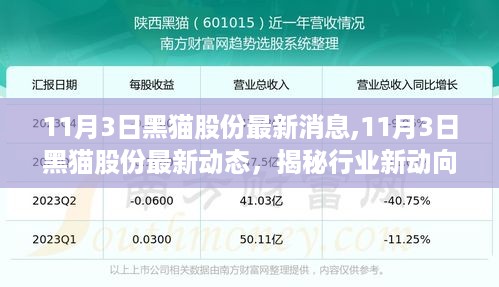 揭秘黑猫股份最新动态与行业未来发展趋势