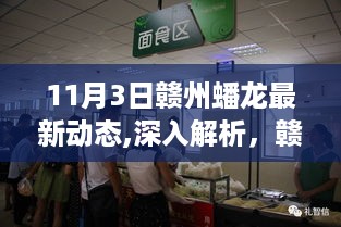 赣州蟠龙最新动态解析与产品评测报告（11月3日更新）