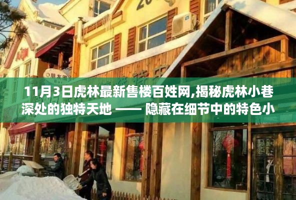 揭秘虎林小巷深处的独特天地，特色小店探寻之旅（最新售楼百姓网）