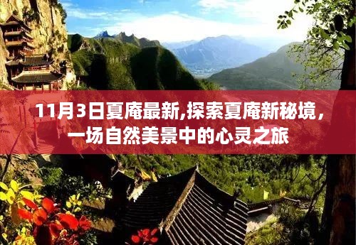 探索夏庵新秘境，自然美景的心灵之旅（最新更新日期，11月3日）