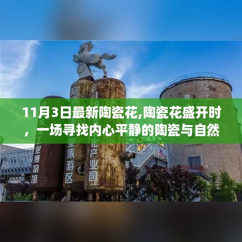 陶瓷花盛开之旅，寻找内心平静的11月自然之旅