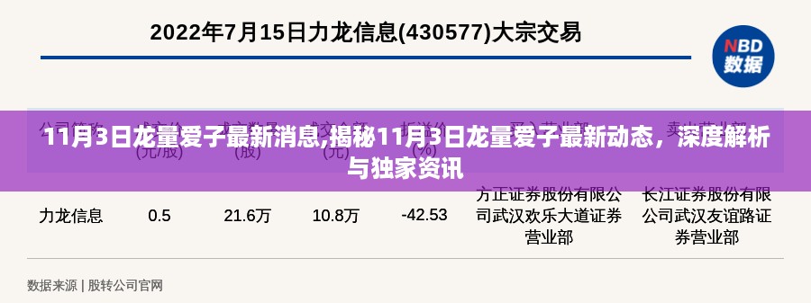 独家揭秘，龙量爱子最新动态与深度解析（11月3日最新资讯）