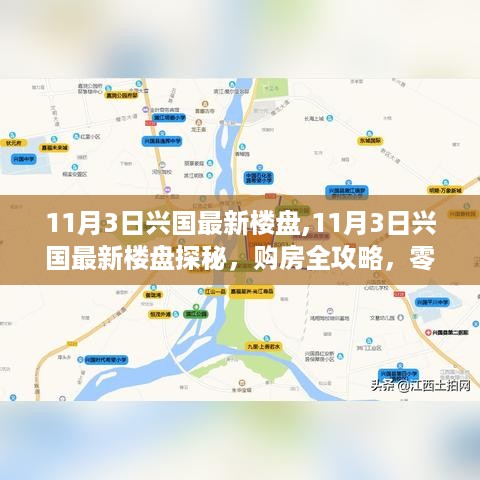 11月3日兴国最新楼盘探秘与购房全攻略，零基础也能轻松掌握