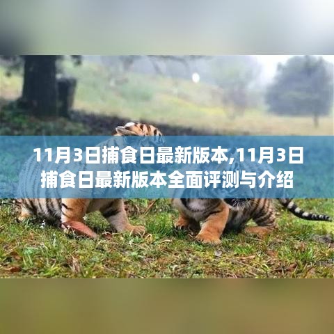 11月3日捕食日最新版本全面评测与介绍