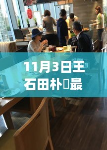 文化与商业交融盛宴，揭秘王石田朴琤最新动态（11月3日报道）