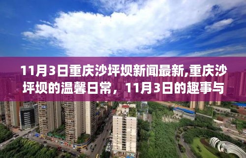 重庆沙坪坝11月3日新闻速递，温馨日常与友情的绽放